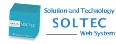 Solution and Technology SOLTEC Web System
